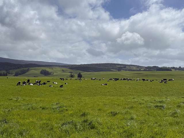 85 Allan Road Otautau_2