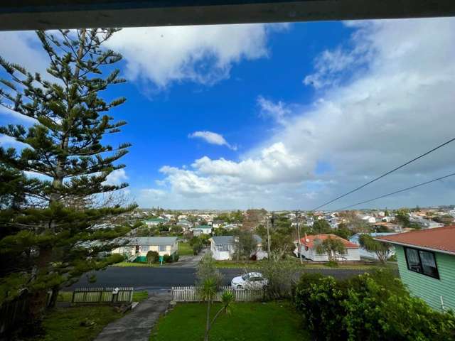 46 Ranfurly Street Dargaville_4