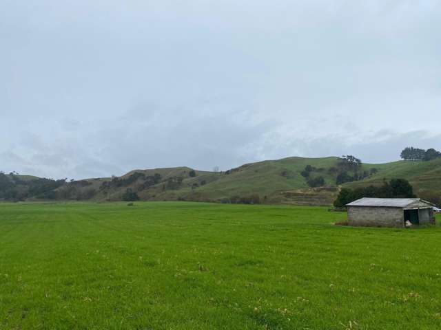 69 Kelly Road Waerenga_2