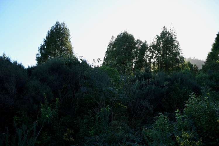 Lot 20 Sunset Heights Road Karamea_12