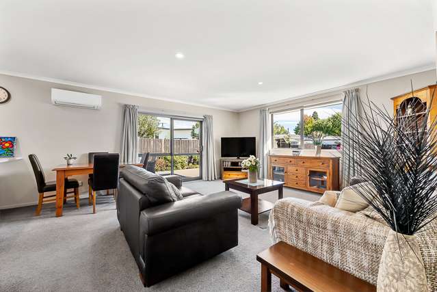 15e Howick Road Blenheim Central_3