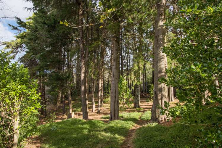 6 The Meadows Katikati_18