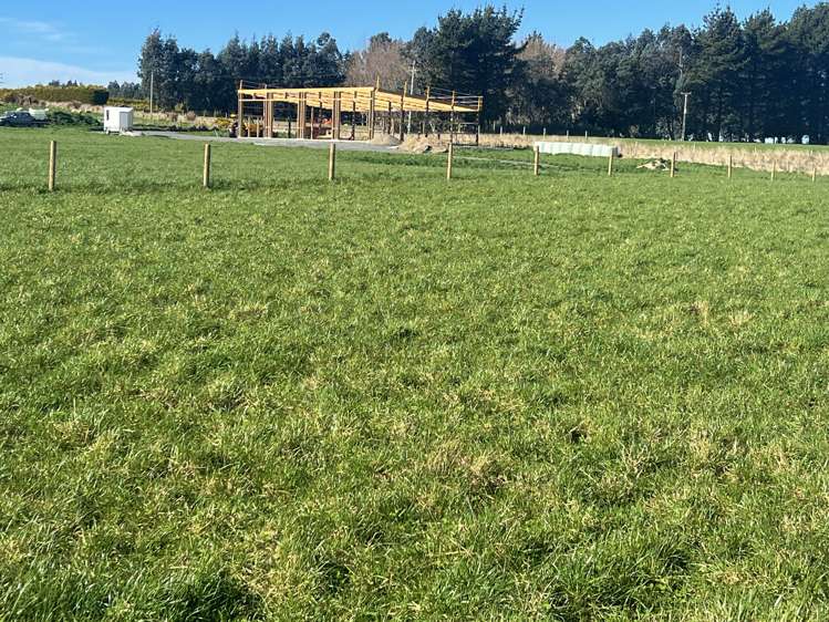 31 Mason Road Seaward Bush_5