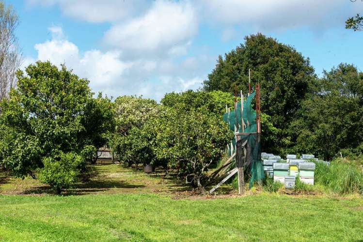 26 Convoy Lane Otahuhu_5