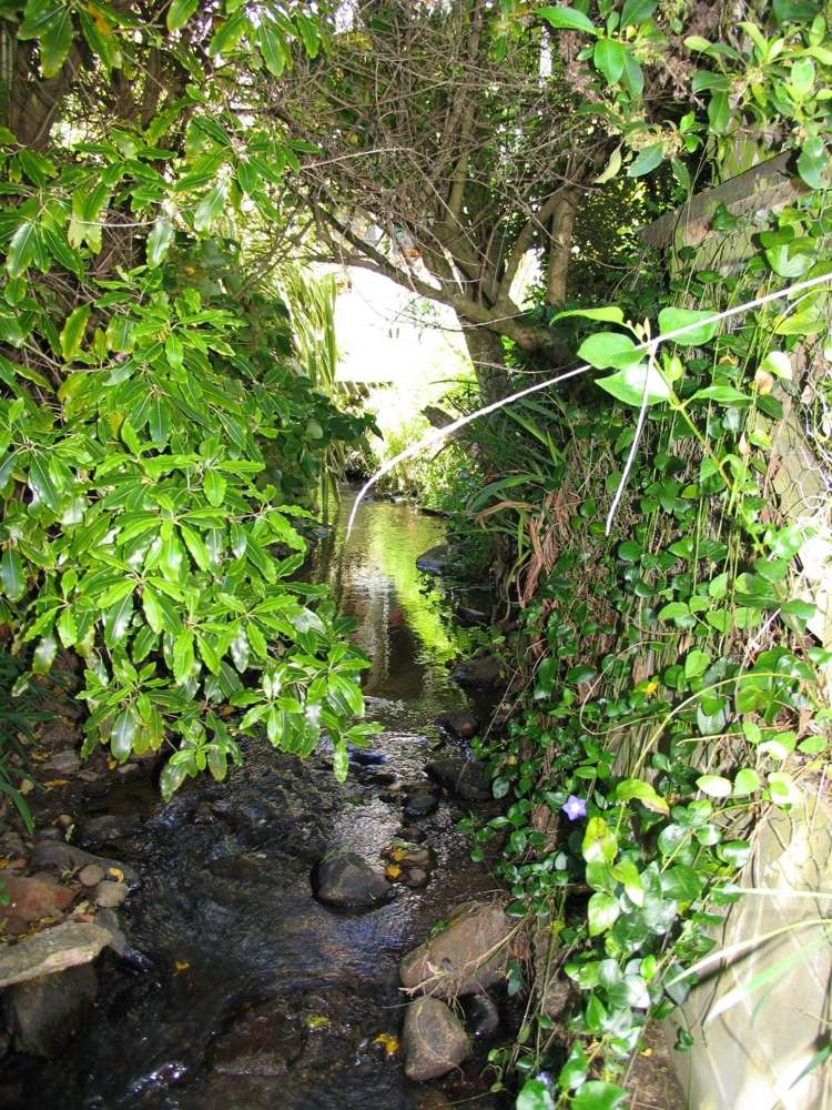 37 Greenacres Street Macandrew Bay_15