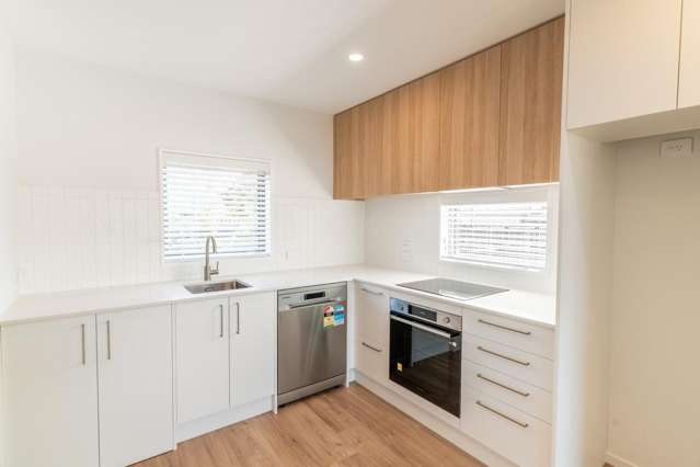 38 Chelsea Street Linwood_3