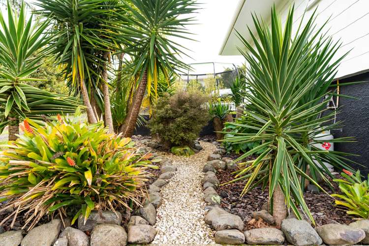 66 Ranfurly Street Dargaville_16