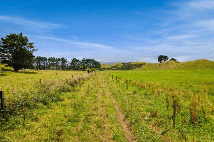 955 Opua Road Opunake_39