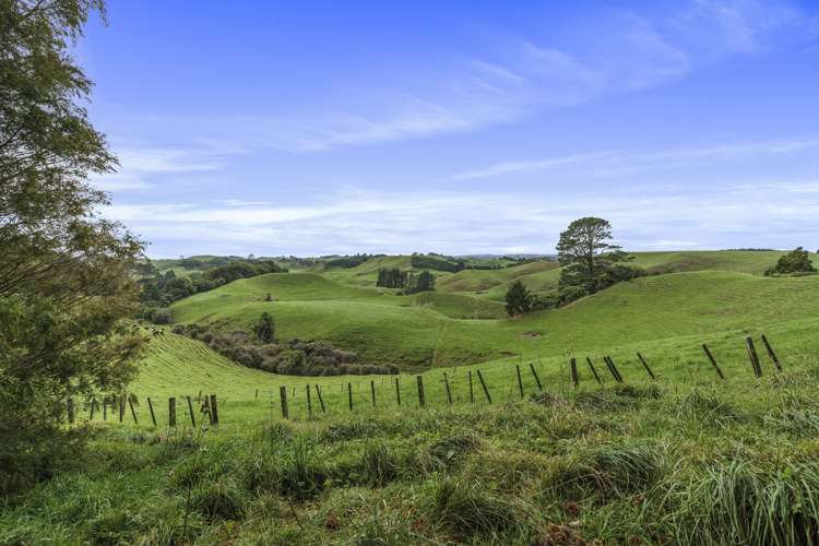 1135 Richmond Road Inglewood_22