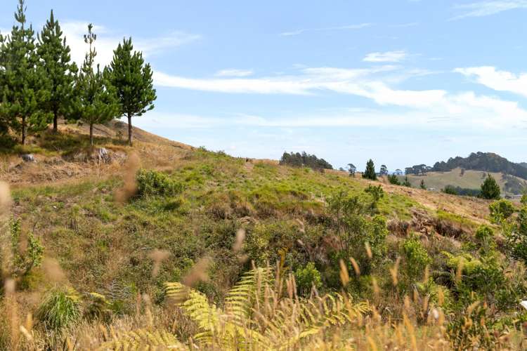 166c Heard Road Waihi_7