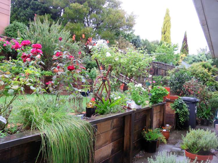 10 Win Place Richmond_19