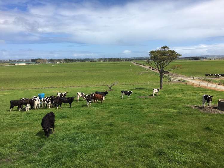 6036 State Highway 12 Arapohue_0