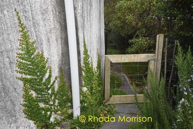 208 Heatley Road Whakapirau_55