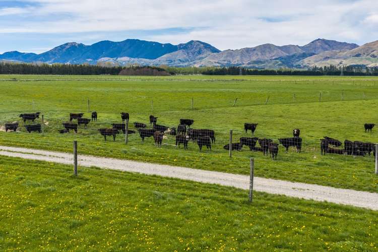 163 Woodbank Road Hanmer Springs_5