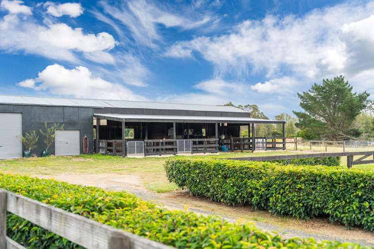 341 White Road Broadlands Forest_17