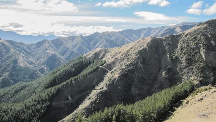 1234 Leatham Road Wairau Valley_13