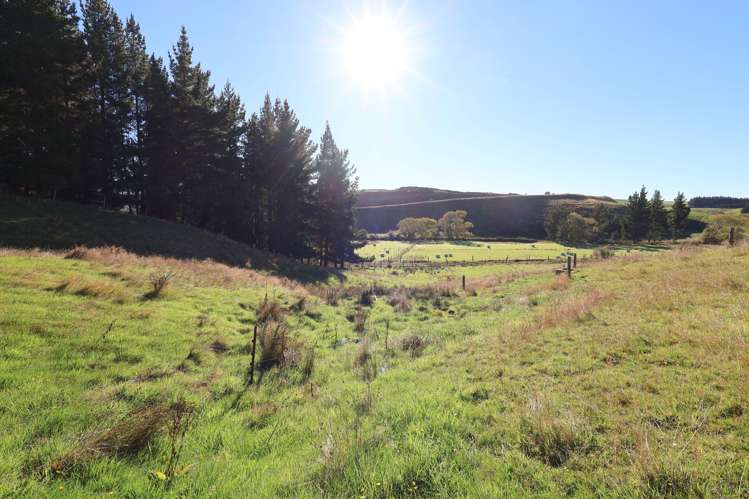 36 Osbourne Terrace Nightcaps_6