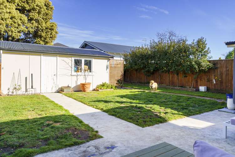 76 Vigor Brown Street Napier South_18