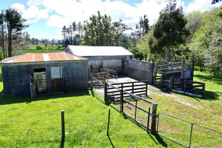 197 State Highway 6 Coal Creek_24