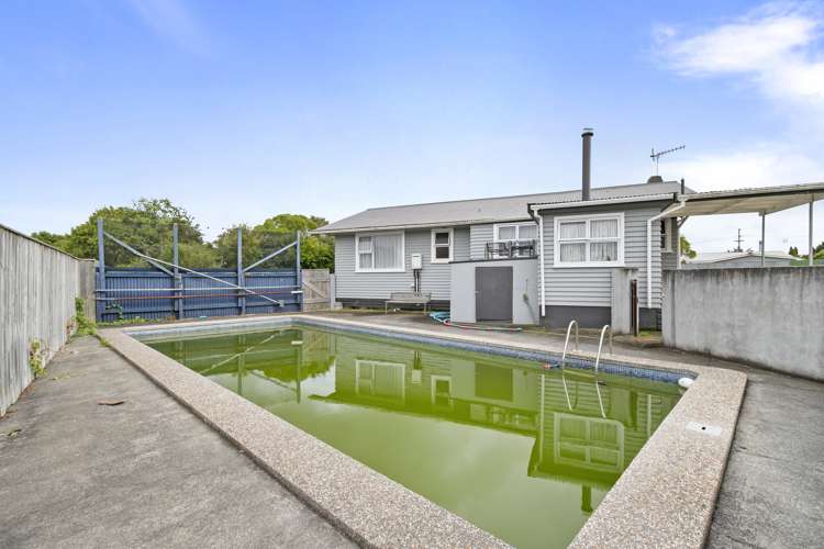 13 Flower Street Bulls_13