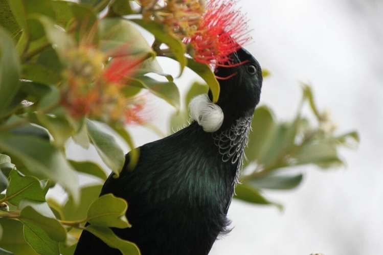 198 Durham Drive Havelock North_16