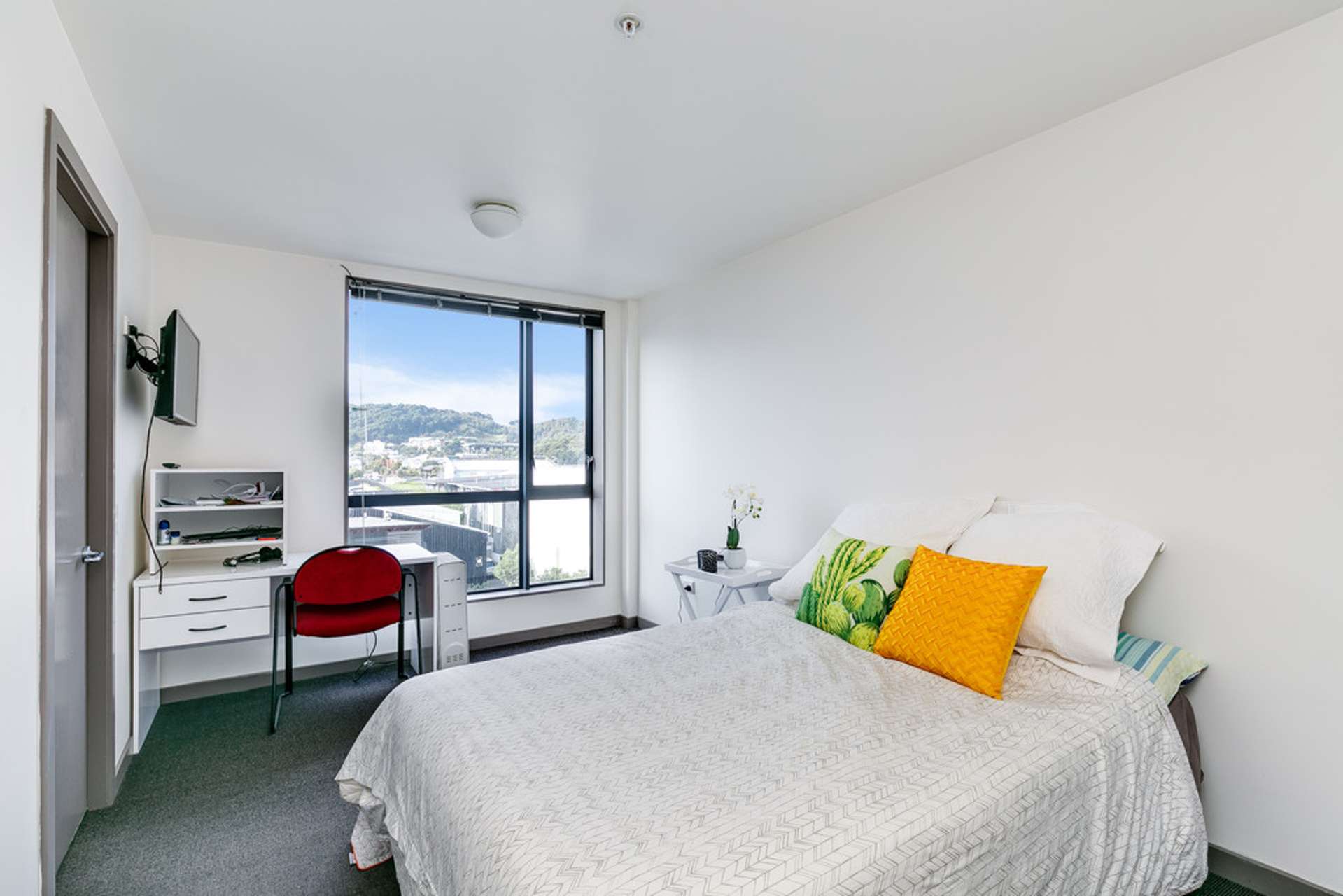 209/35 Abel Smith Street Te Aro_0