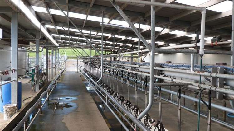 521 Orepuki Riverton Highway Riverton & Surrounds_9