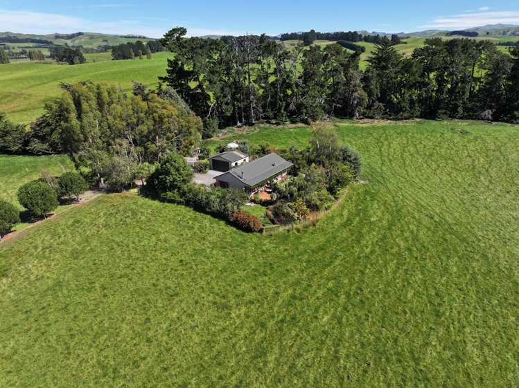 89 Cheviot Heights Cheviot_20