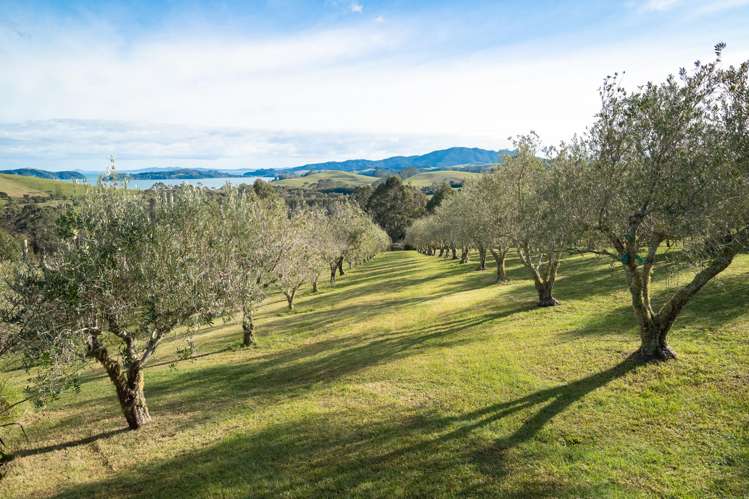 37 Puketiti Drive Mangonui_28