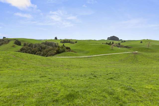 386 Troopers Road Te Kuiti_4