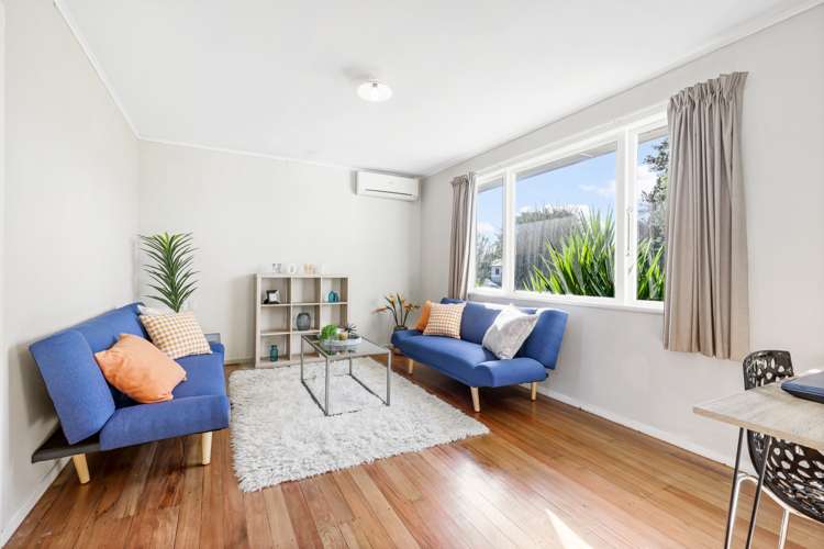 42 Karaka Street Nawton_9