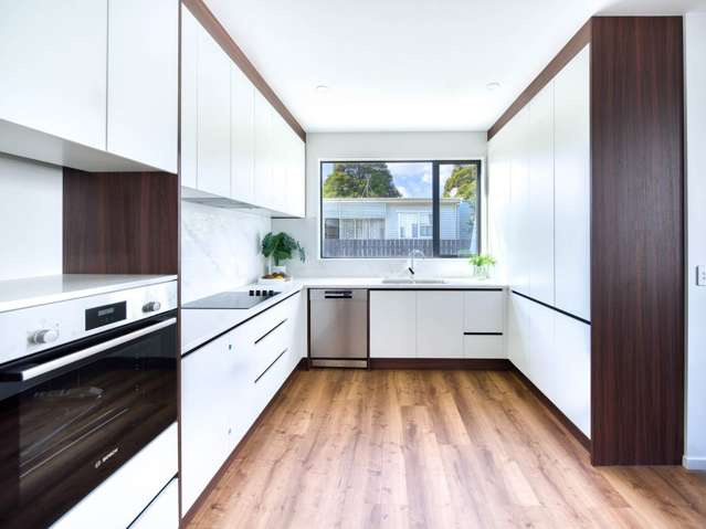 Lots 1-3, William Blofield Avenue Mt Roskill_4