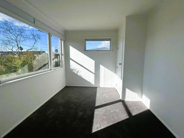 17 Allenby Road Panmure_2