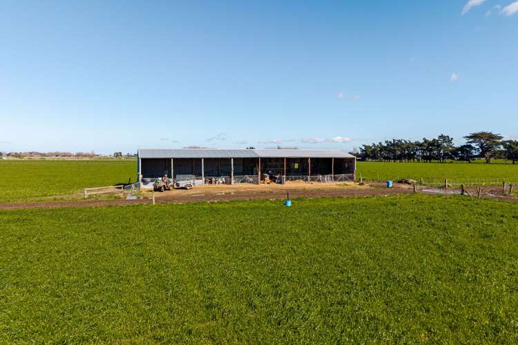 1040 Roberts Line Bunnythorpe_12