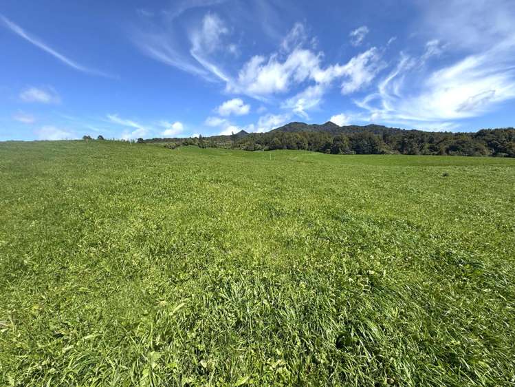 3/585 O'Shea Road Pirongia_11