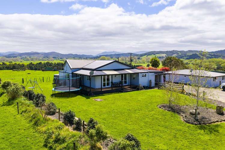 Mangakahia Road Titoki_8