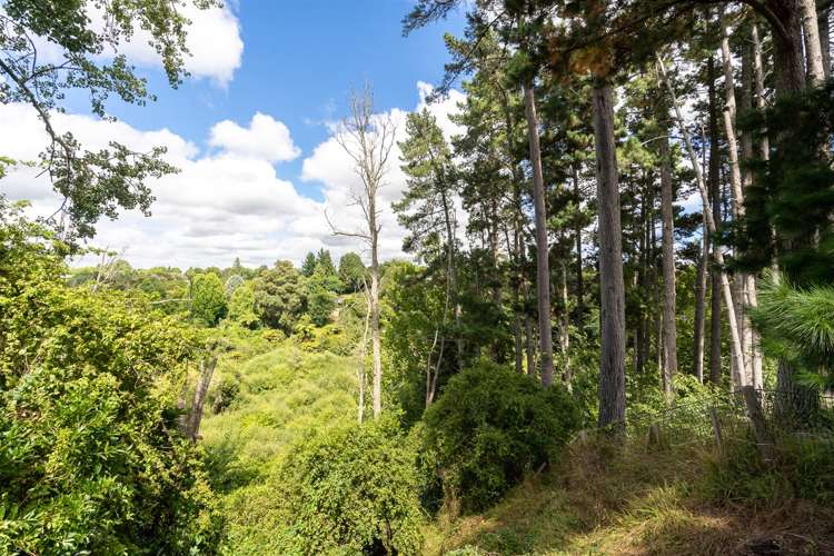 115b Rosebanks Drive Tamahere_34