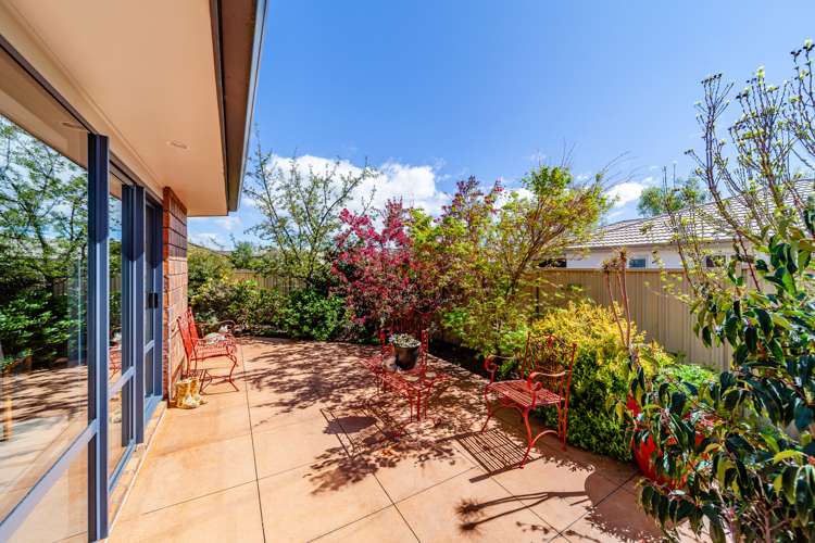 23 Belgrove Drive Waipukurau and Surrounds_8