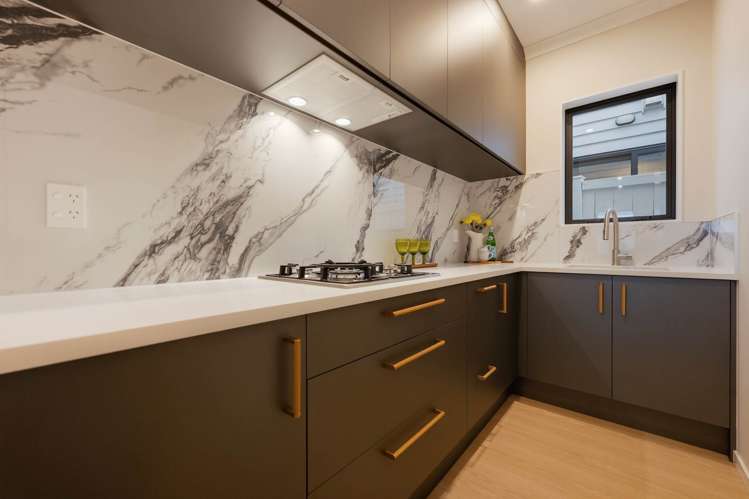 217A Murphys Road Flat Bush_11