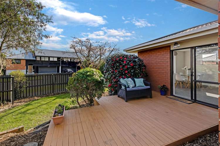 18 Lowry Avenue Redwood_15