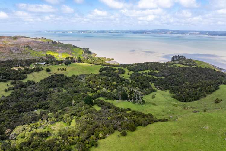 167 Summer Road Tinopai_49