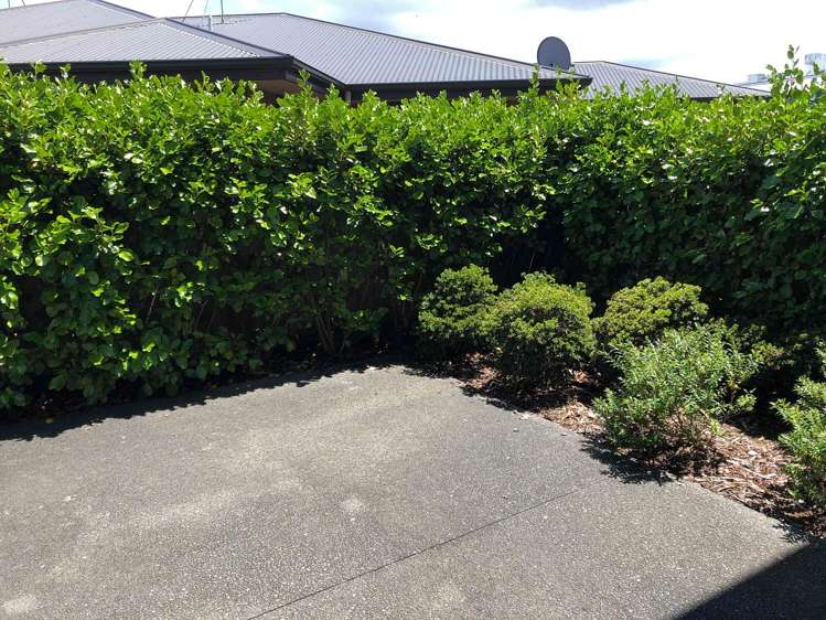 9/85 Normandy Avenue Melville_10