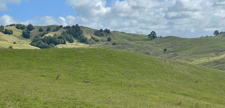 426 Mangarata Block Road Arapohue_16