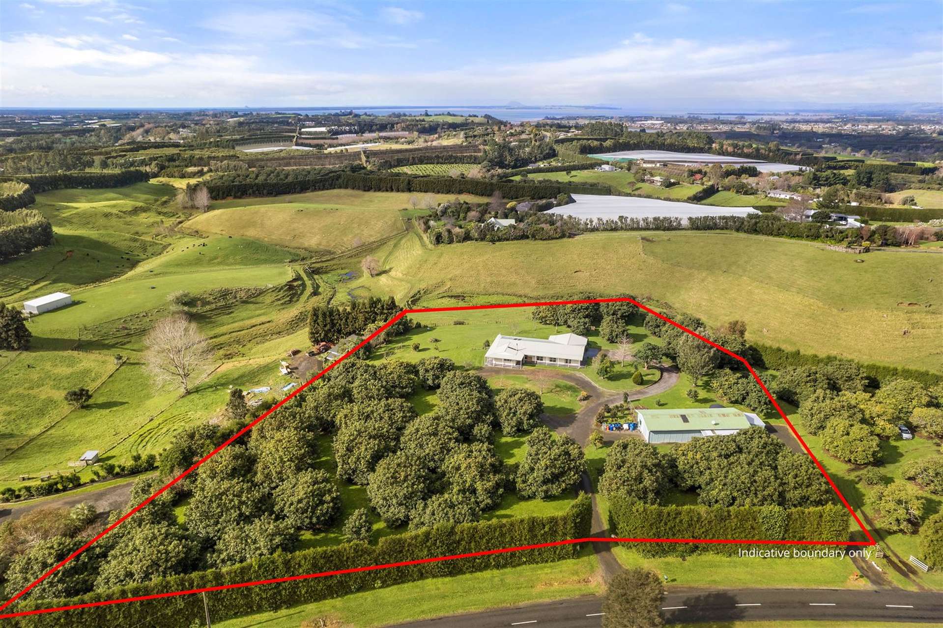 242 Woodland Road Katikati Western Bay Of Plenty Houses for Sale