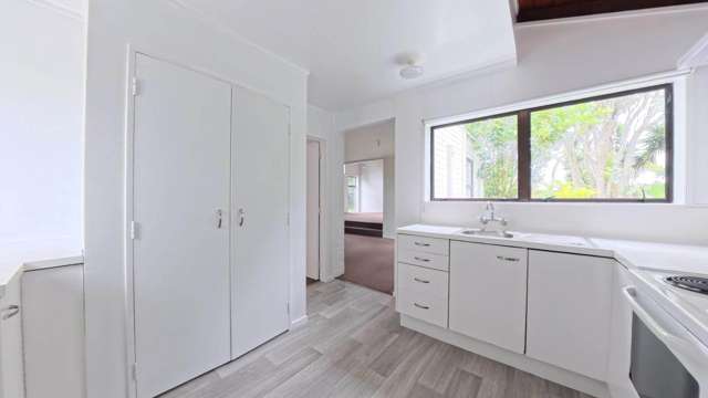 511b Richardson Road Mt Roskill_2