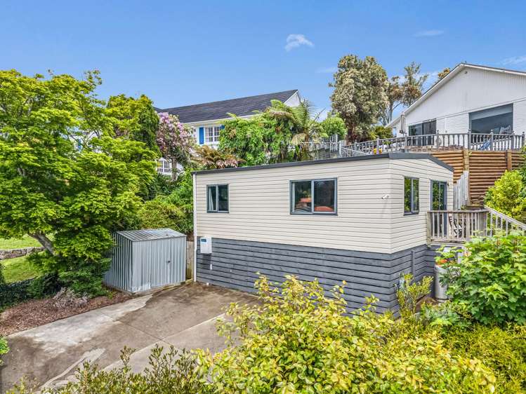 126 Springfield road Springfield_16