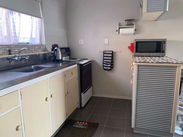 119a Tiro Tiro Road Levin_4