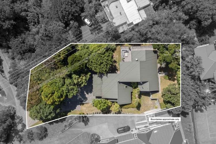 28b Carlton Street Hillsborough_24