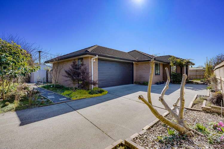 171 Clyde Street Hamilton East_17