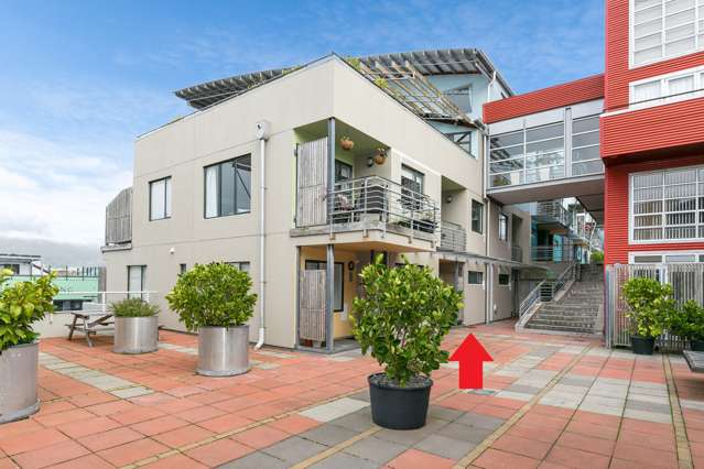 10/26 Marion Street Te Aro_2